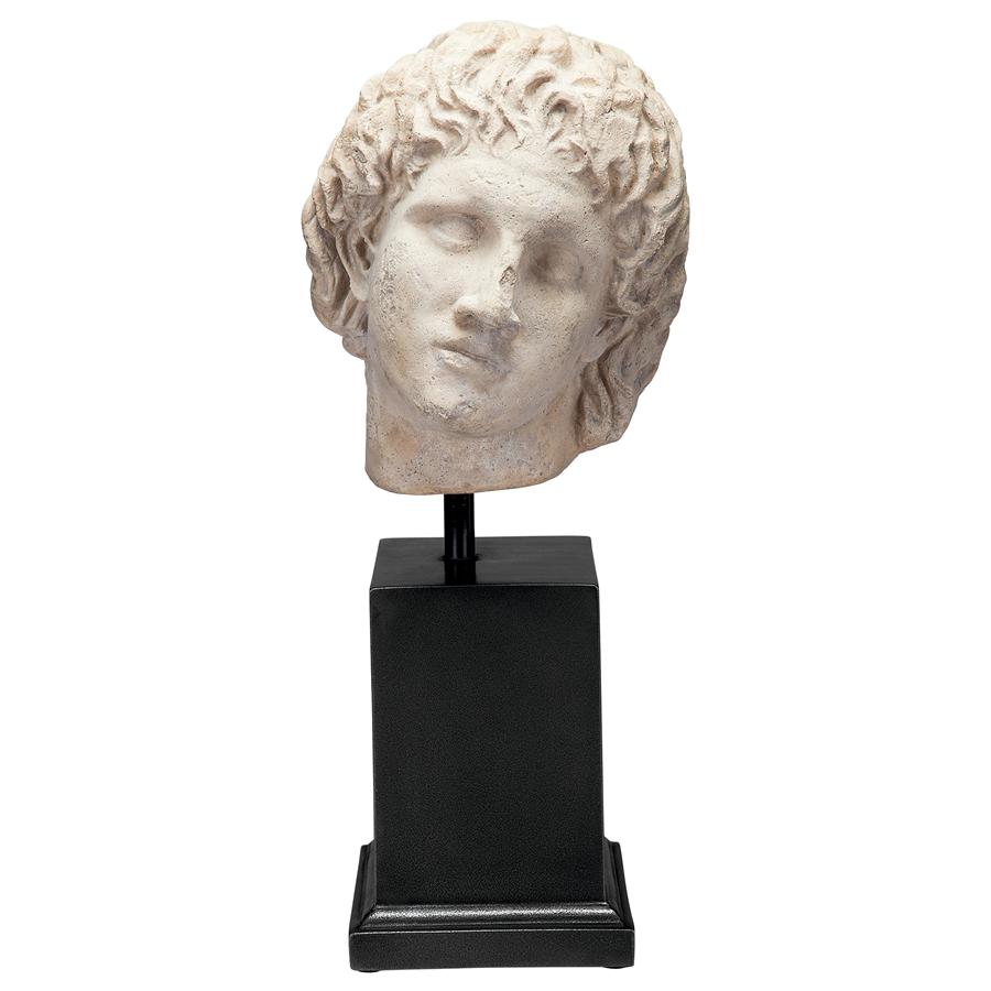 Alexander the Great Sculptural Bust on Museum Mount