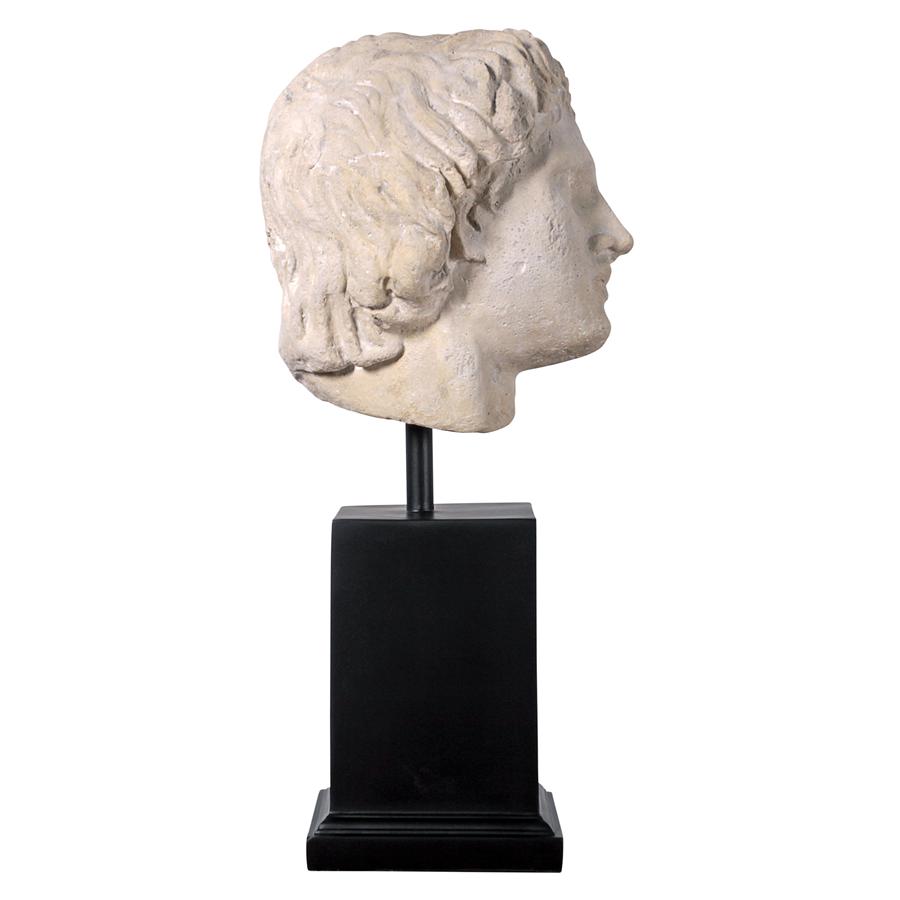 Alexander the Great Sculptural Bust on Museum Mount