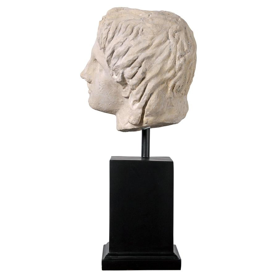 Alexander the Great Sculptural Bust on Museum Mount