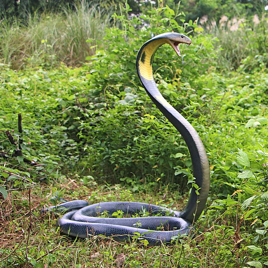 King Cobra Life-Size Snake Statue