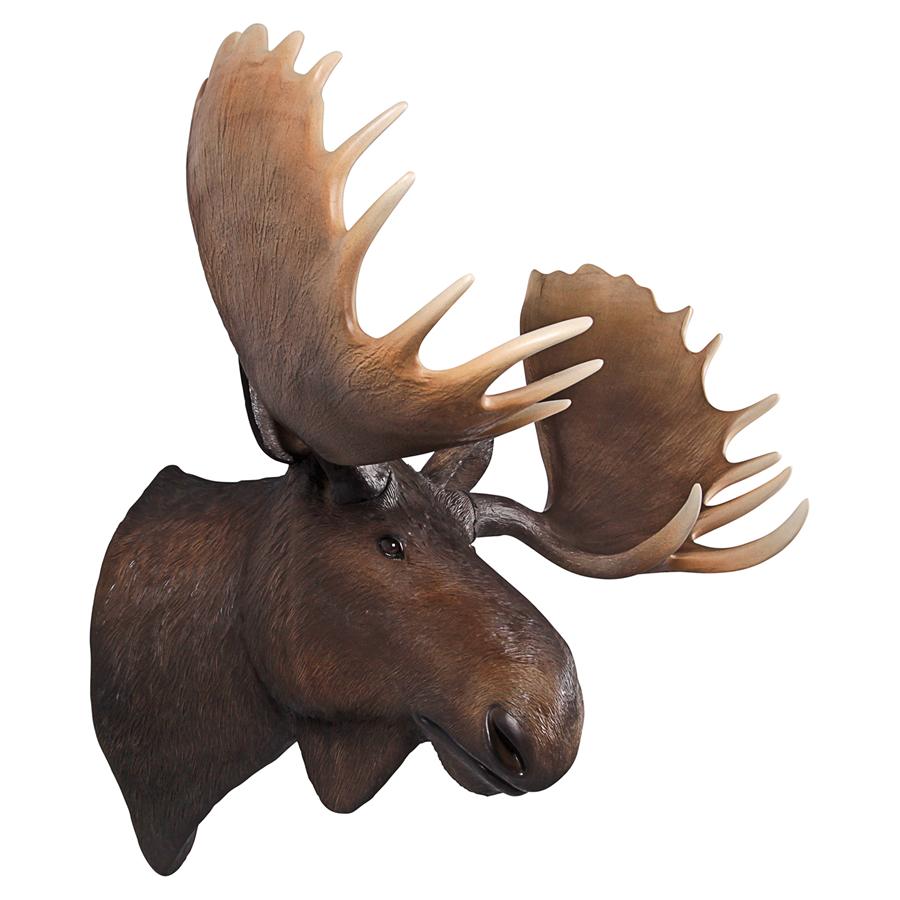 North American Majestic Moose Trophy Head Wall Sculpture