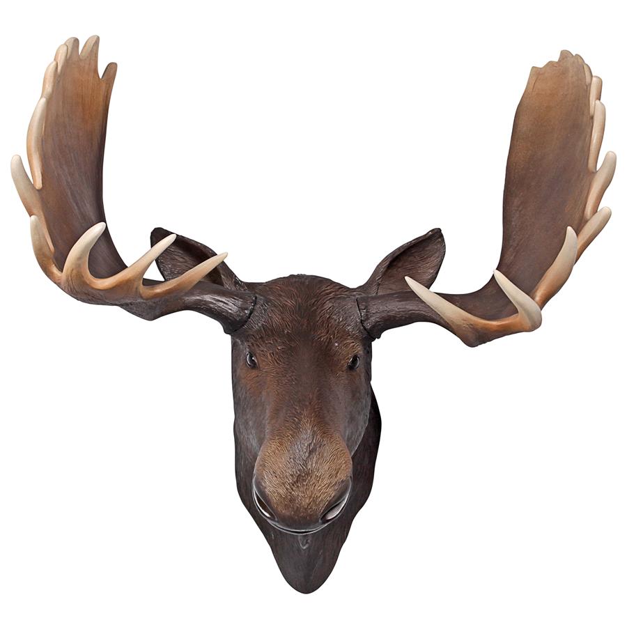 North American Majestic Moose Trophy Head Wall Sculpture