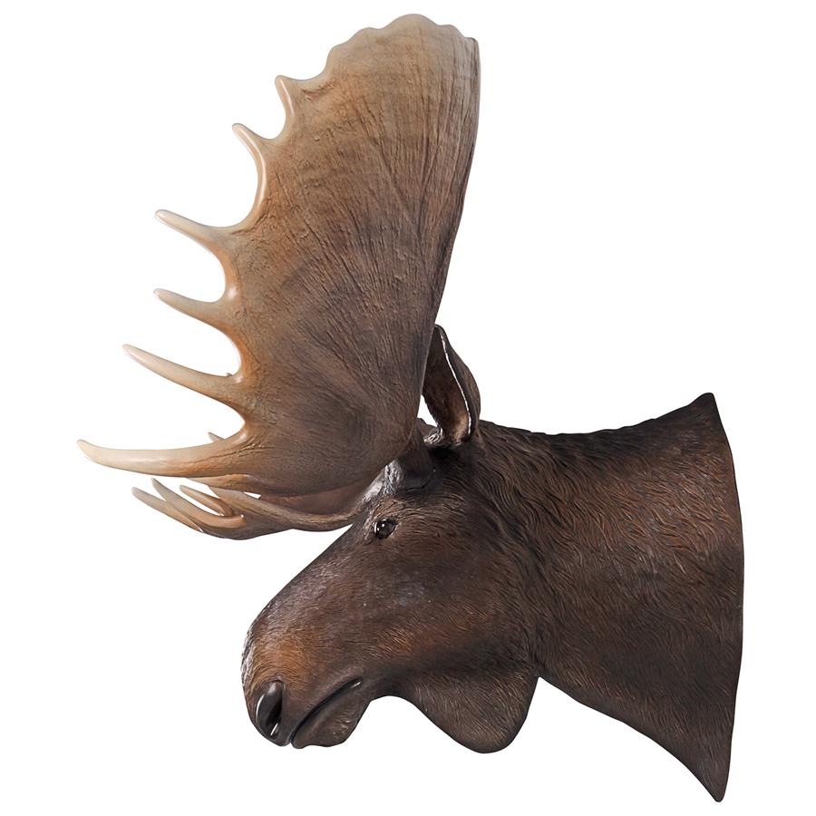 North American Majestic Moose Trophy Head Wall Sculpture