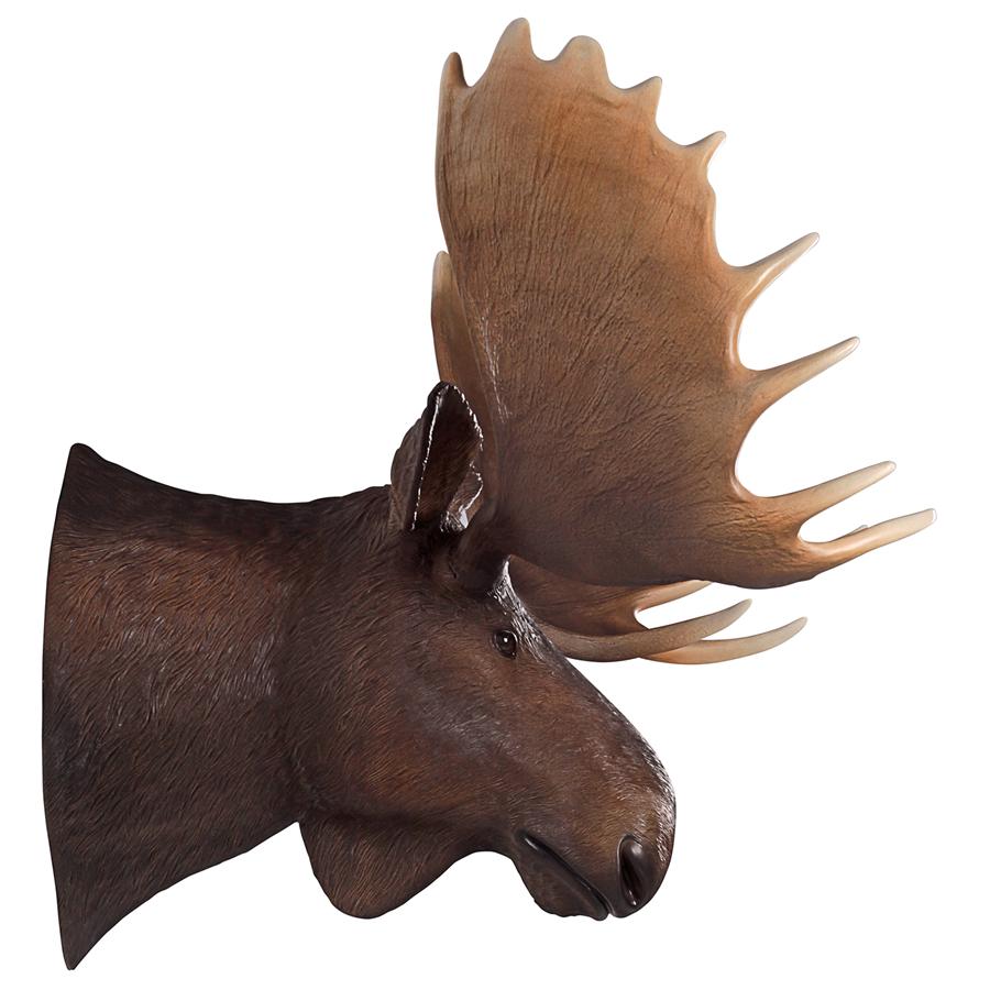 North American Majestic Moose Trophy Head Wall Sculpture