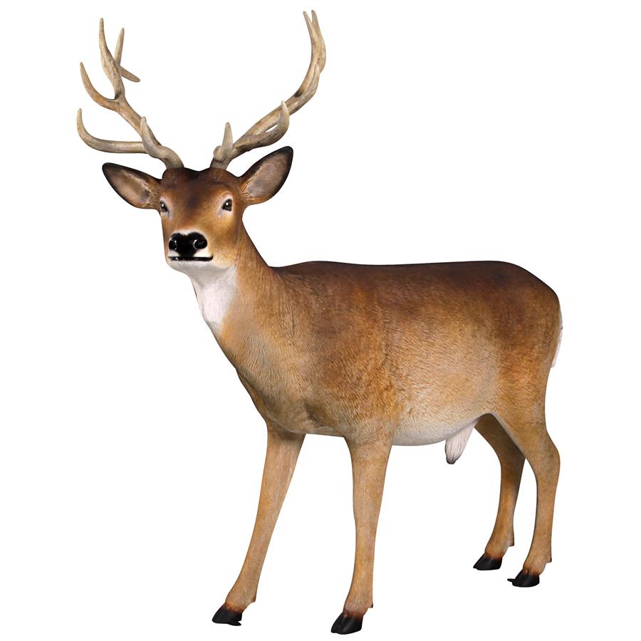 Forest White Tailed Buck, Male Deer Statue