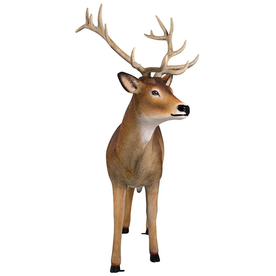 Forest White Tailed Buck, Male Deer Statue