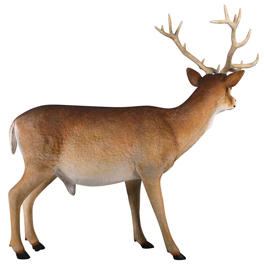 Forest White Tailed Buck, Male Deer Statue