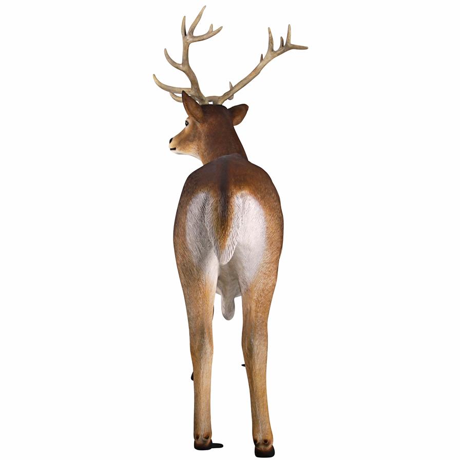 Forest White Tailed Buck, Male Deer Statue