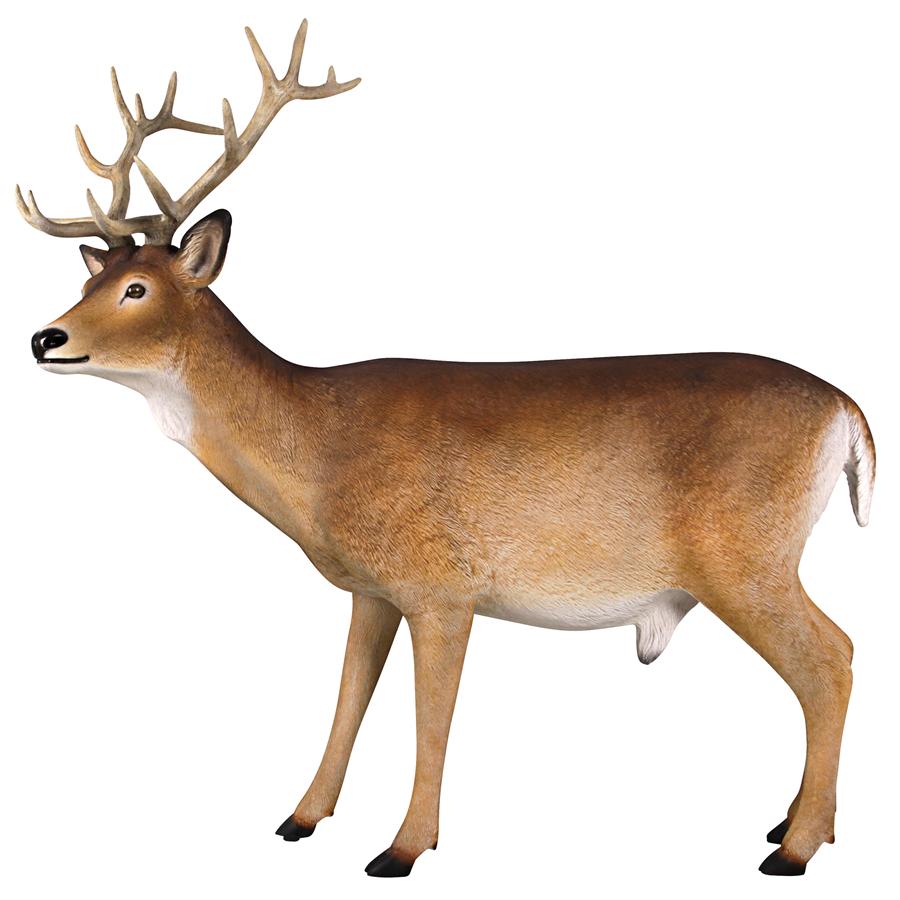 Forest White Tailed Buck, Male Deer Statue