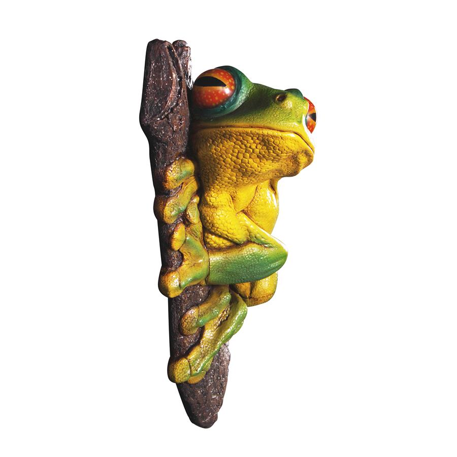 Red-Eyed Tree Frog Garden Statue