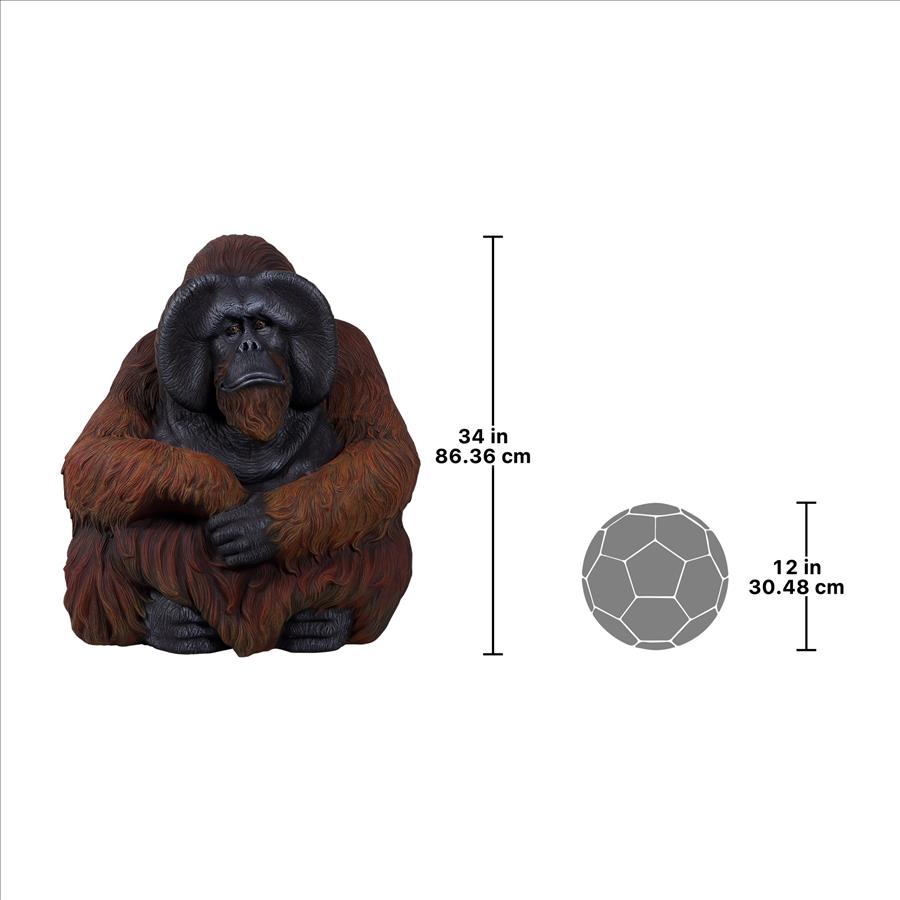 Male Bornean Orangutan Great Ape Statue