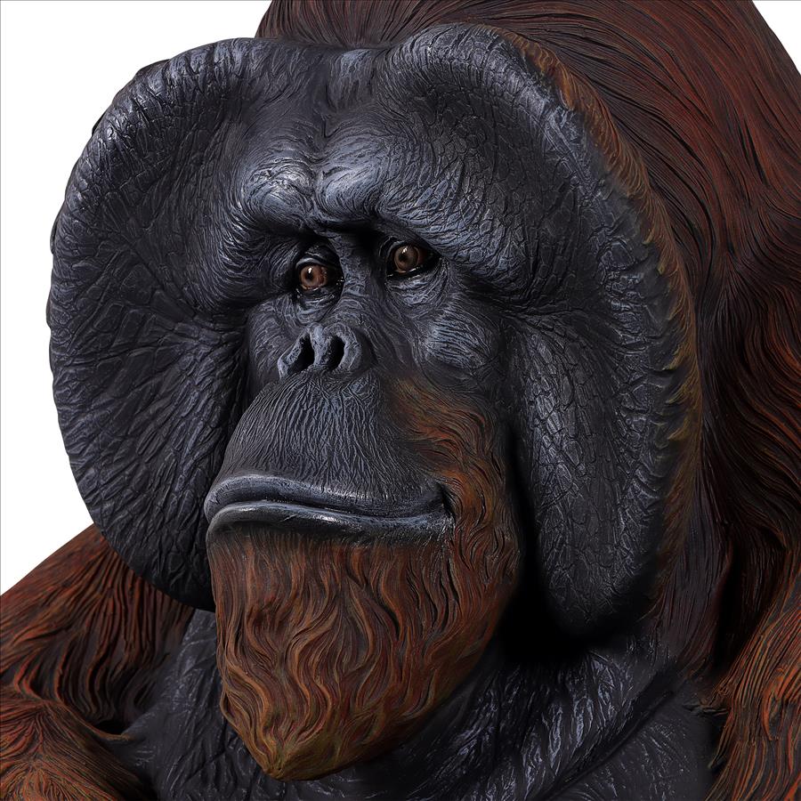 Male Bornean Orangutan Great Ape Statue