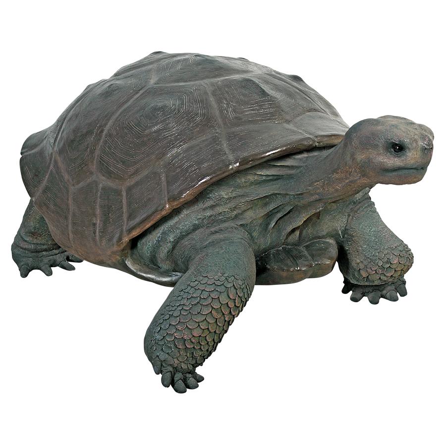 The Galapagos Tortoise Grand-Scale Turtle Statue