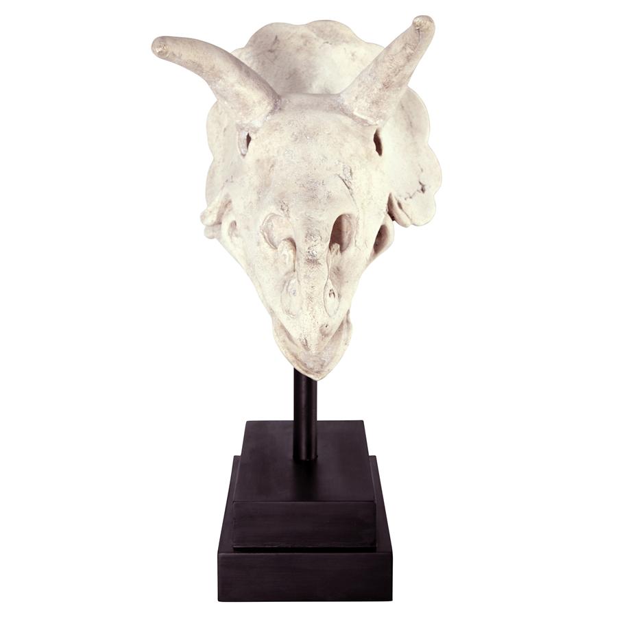 Triceratops Dinosaur Skull Fossil Statue on Museum Mount