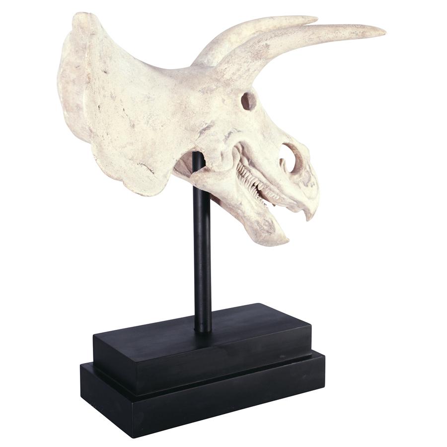 Triceratops Dinosaur Skull Fossil Statue on Museum Mount