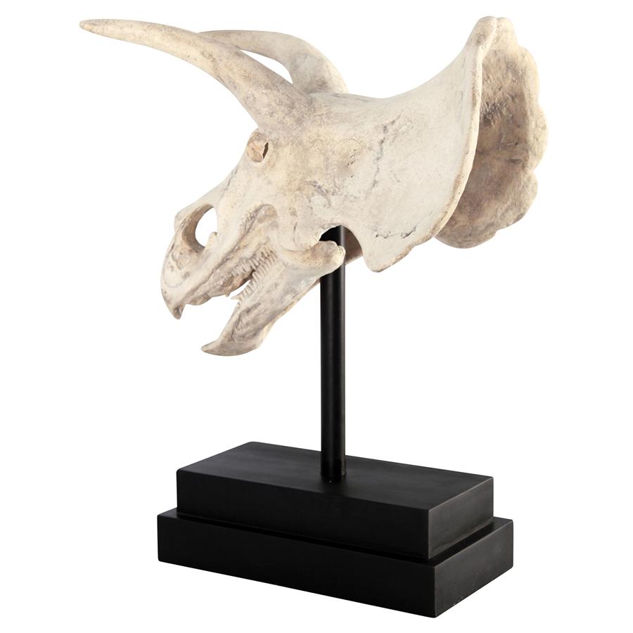 Triceratops Dinosaur Skull Fossil Statue on Museum Mount