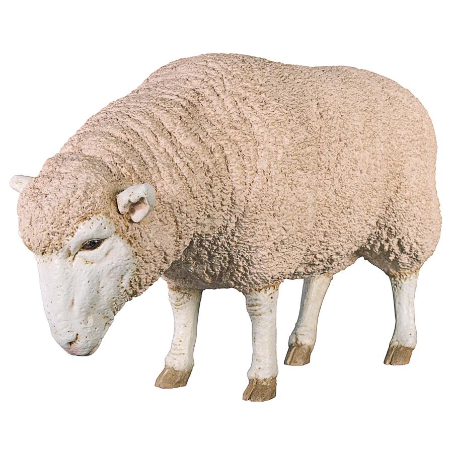 Merino Ewe Life-Size Sheep Statue: Head Down
