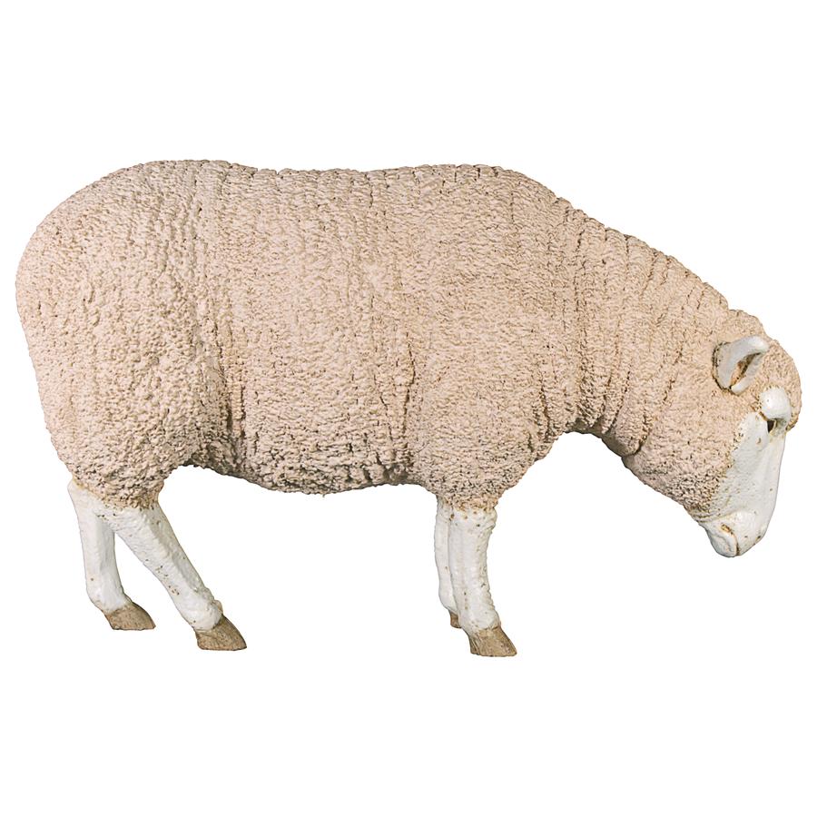 Merino Ewe Life-Size Sheep Statue: Head Down