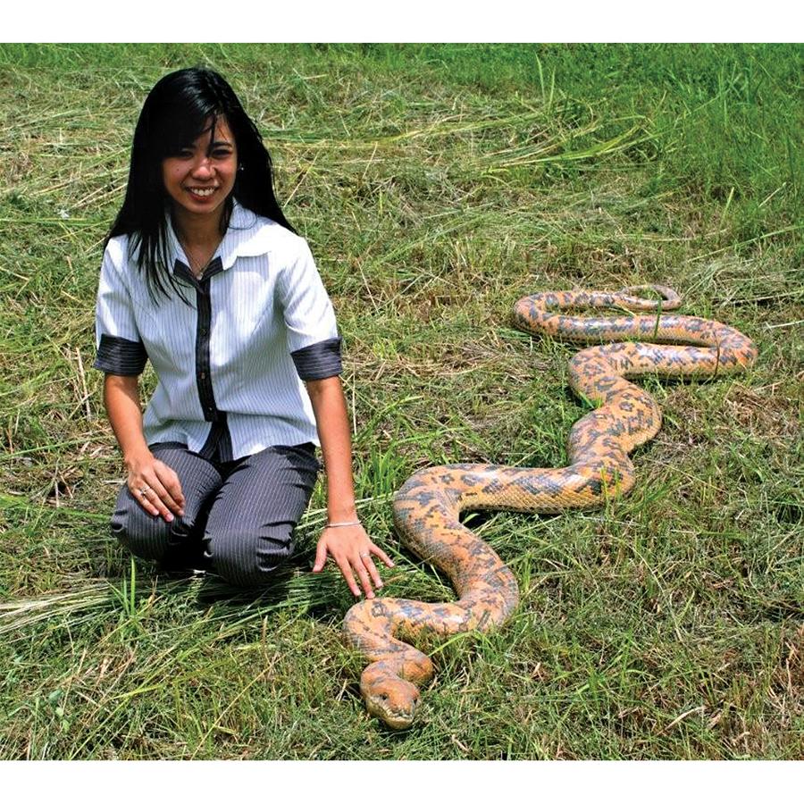 Giant Burmese Python Snake Statue