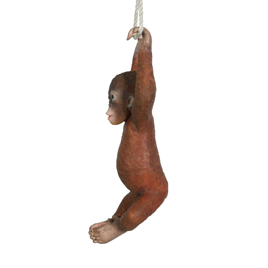 Pongo the Hanging Baby Orangutan Statue