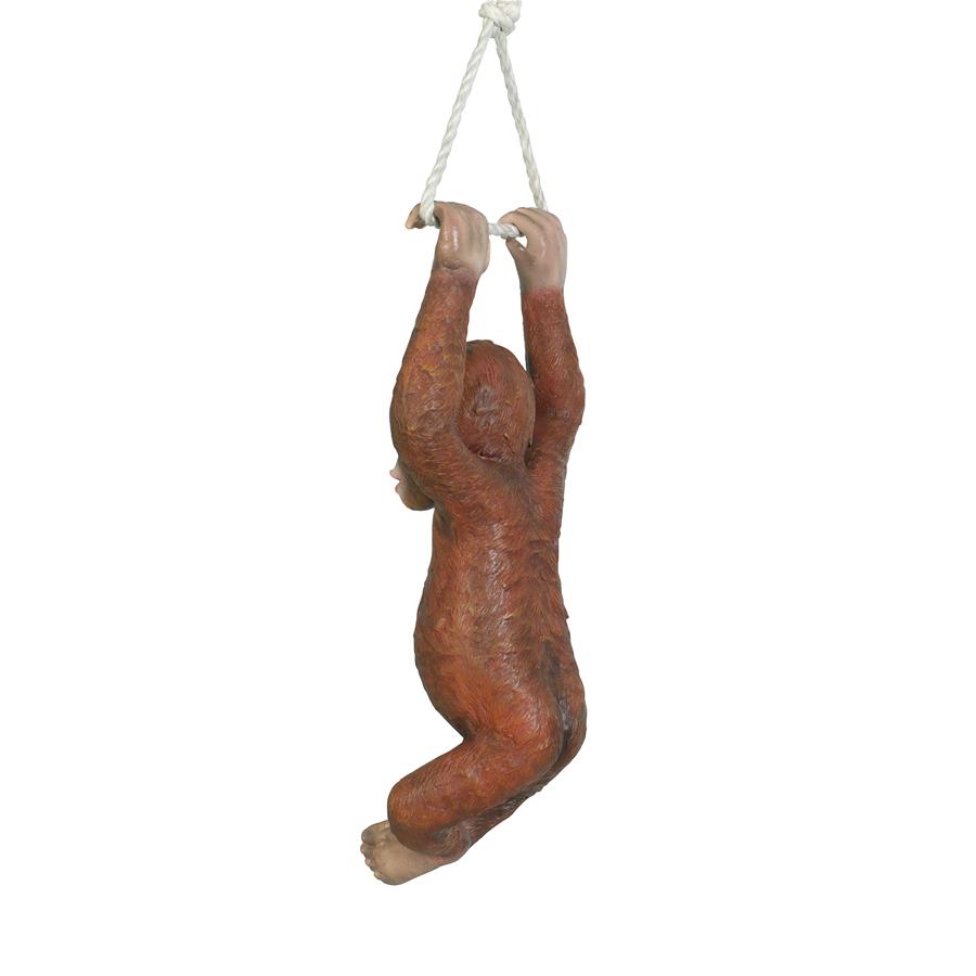 Pongo the Hanging Baby Orangutan Statue