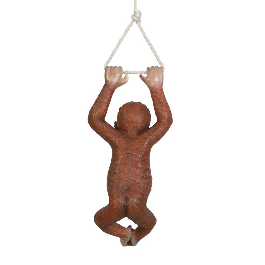 Pongo the Hanging Baby Orangutan Statue