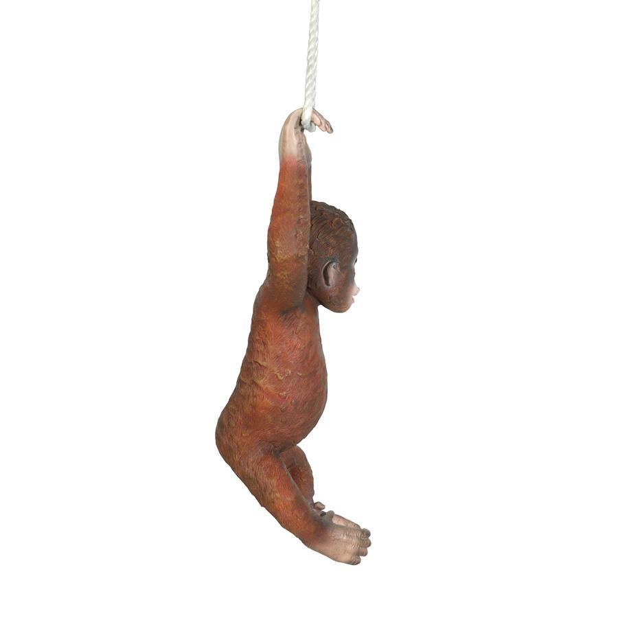 Pongo the Hanging Baby Orangutan Statue