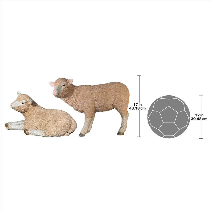 Merino Ewe Life-Size Lambs Statue Collection: Set of Two