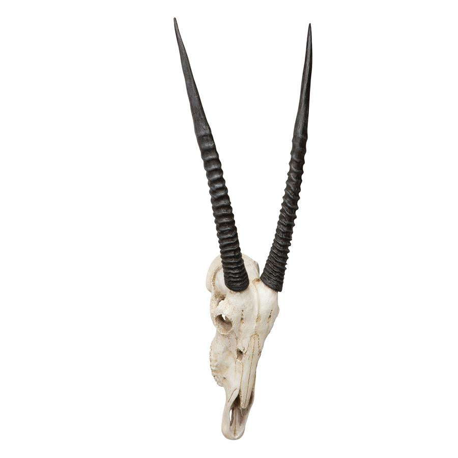 Gemsbok African Wall Trophy