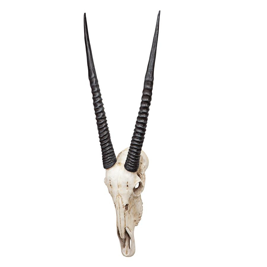 Gemsbok African Wall Trophy