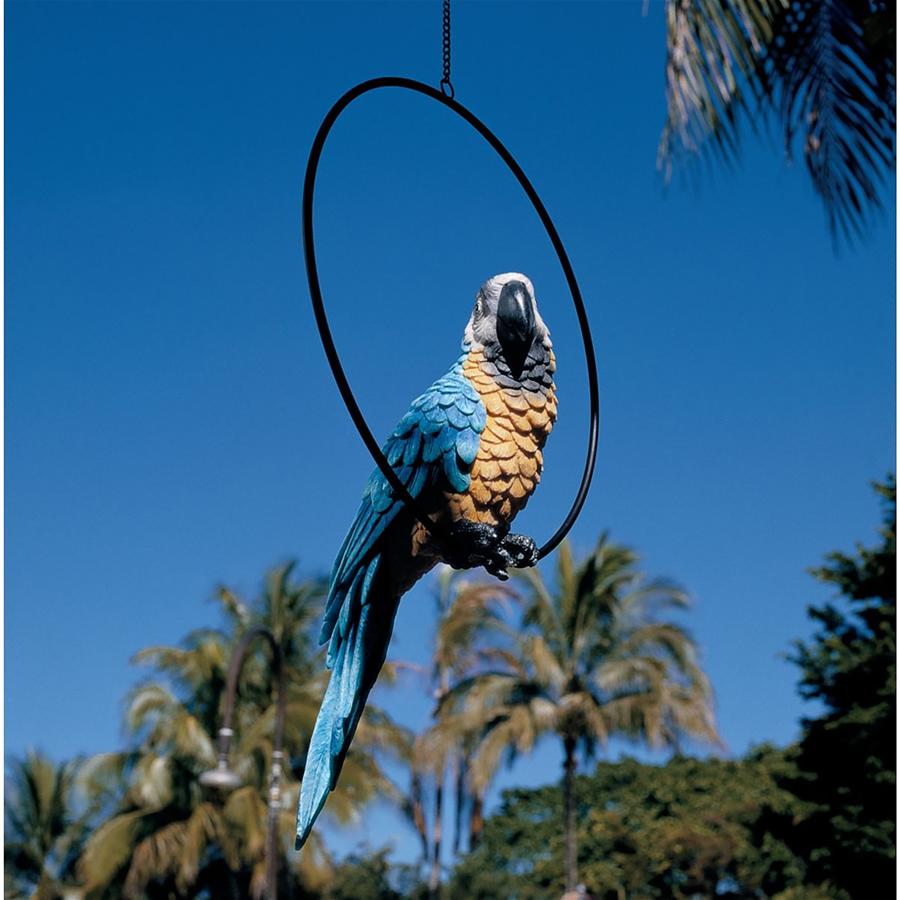 Polly in Paradise Parrot on Ring Perch: Large