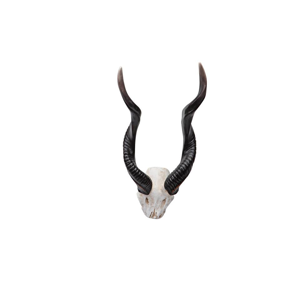 Kudu African Wall Trophy: Each