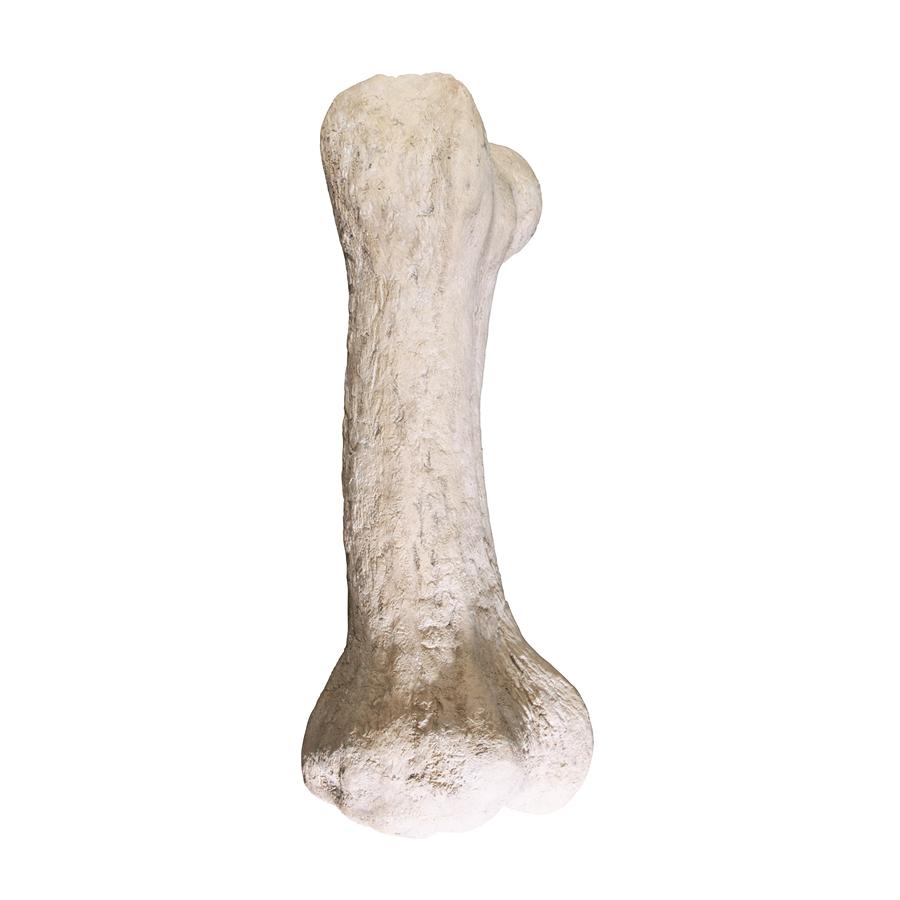 Gigantic Dinosaur Bone Statue