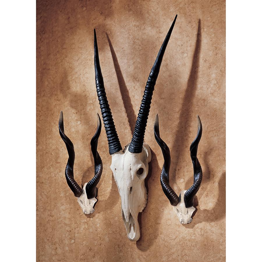 African Wall Trophies: Set of One Gemsbok and Two Kudu
