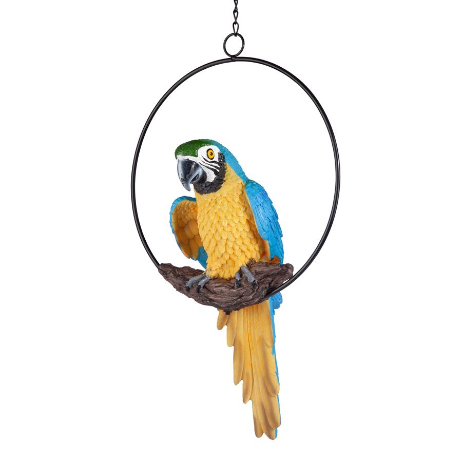 Polly in Paradise Parrot on Ring Perch: Medium