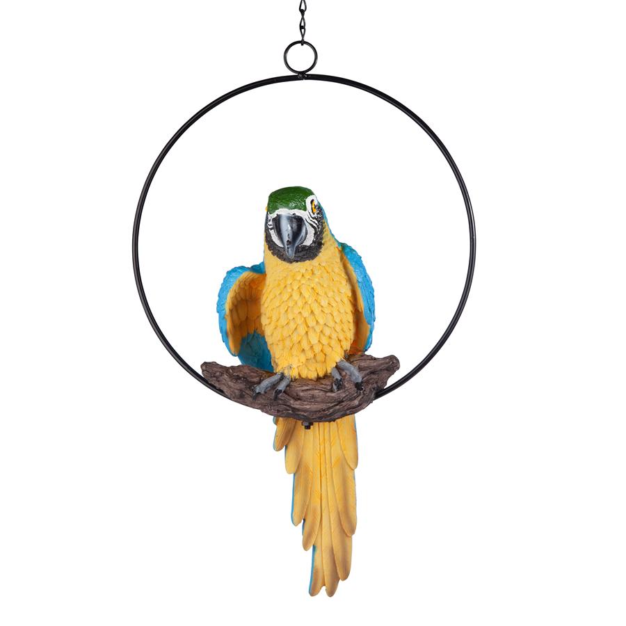 Polly in Paradise Parrot on Ring Perch: Medium