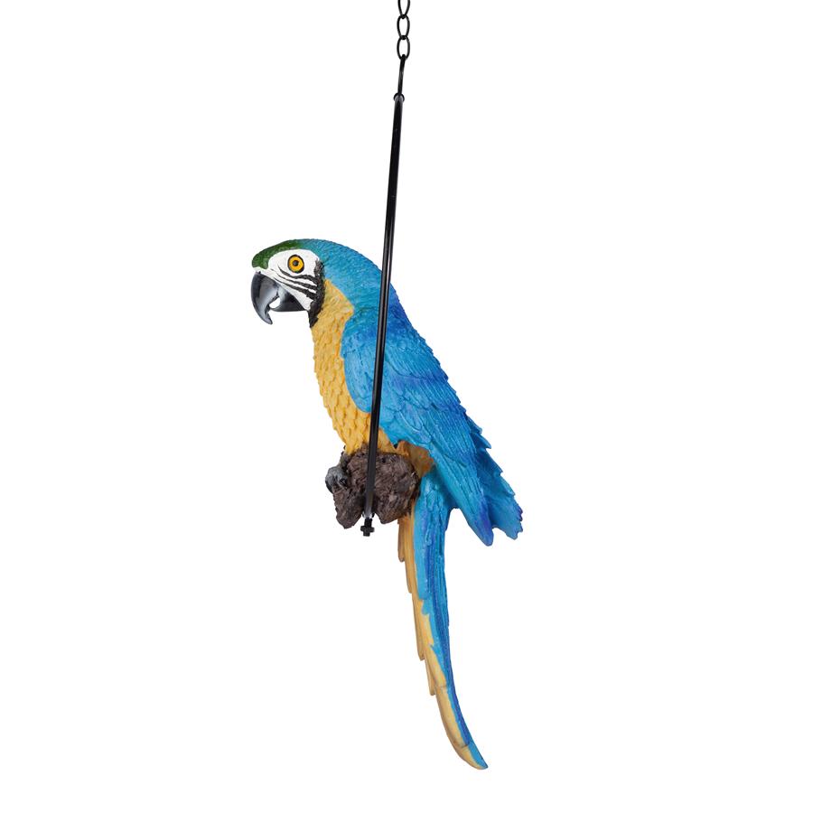 Polly in Paradise Parrot on Ring Perch: Medium