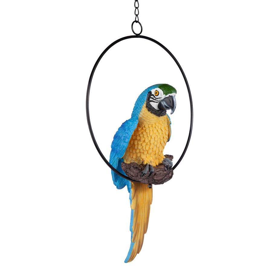 Polly in Paradise Parrot on Ring Perch: Medium