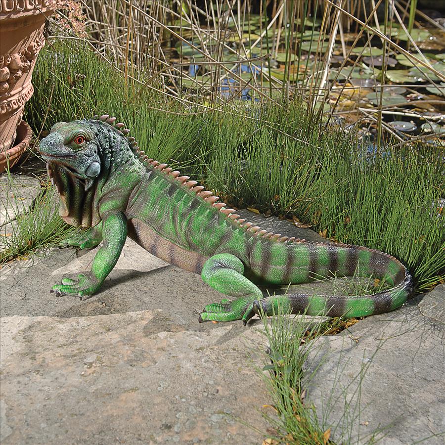 Iggy the Iguana Lizard Statue: Large