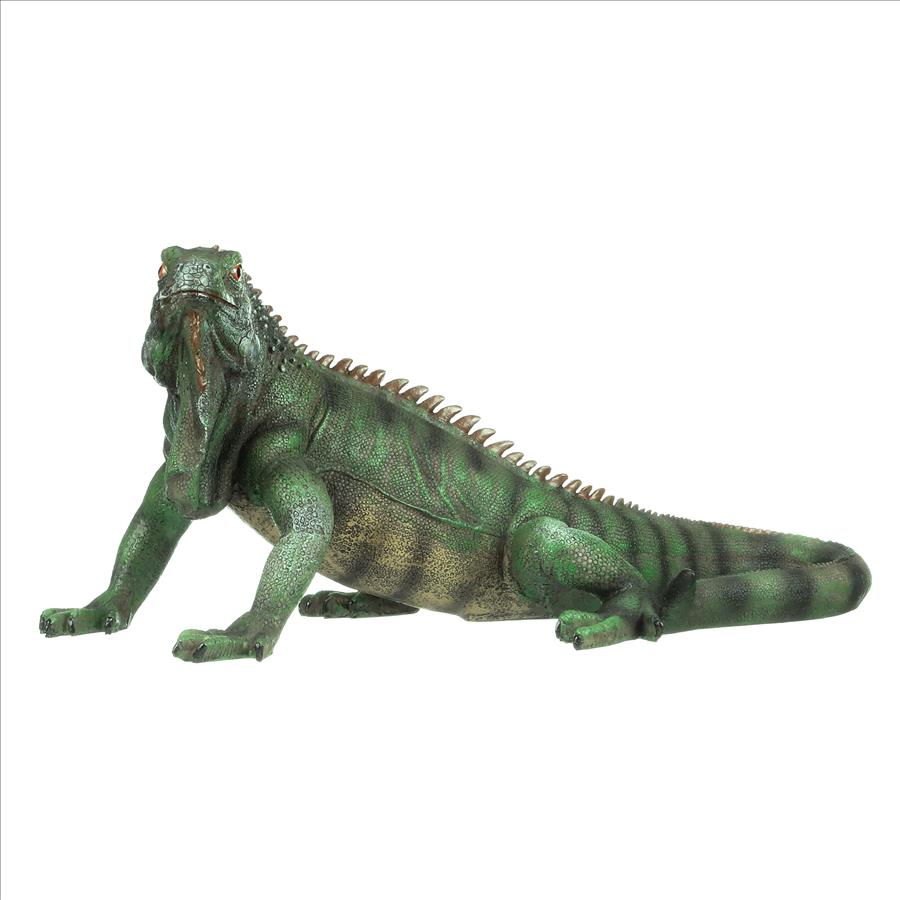 Iggy the Iguana Lizard Statue: Large