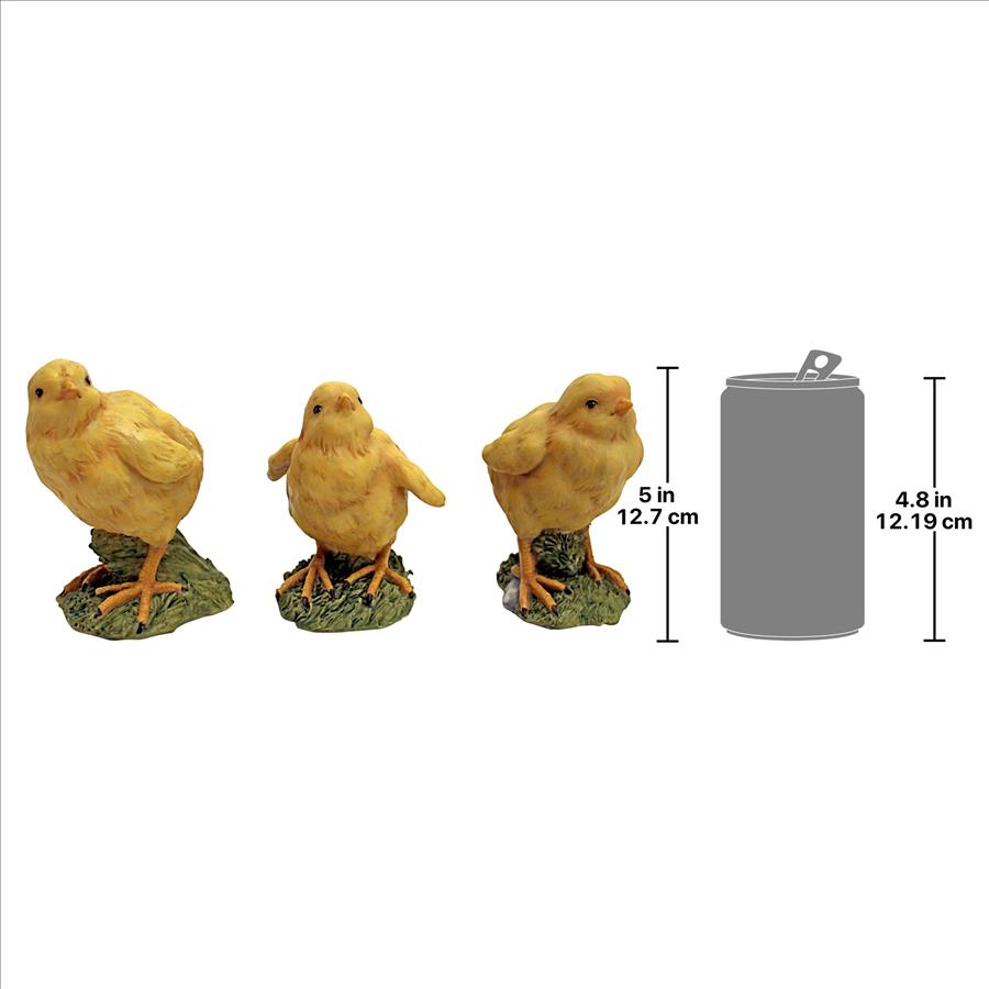 Hatching Chicks, Set of 3 Baby Chicken Statues