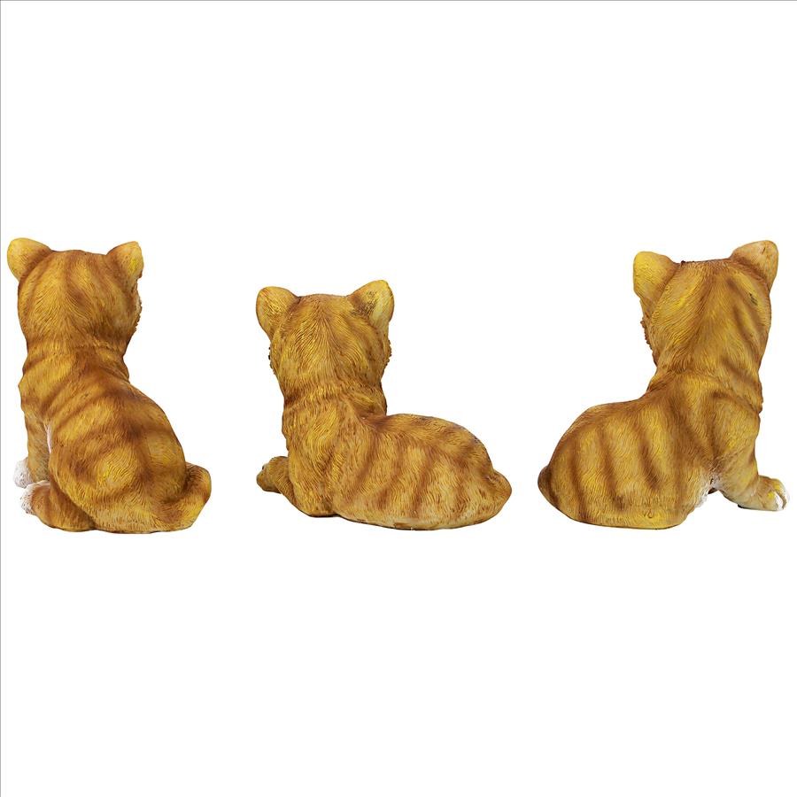 Tabby Kitten Triplets, Baby Cat Statues