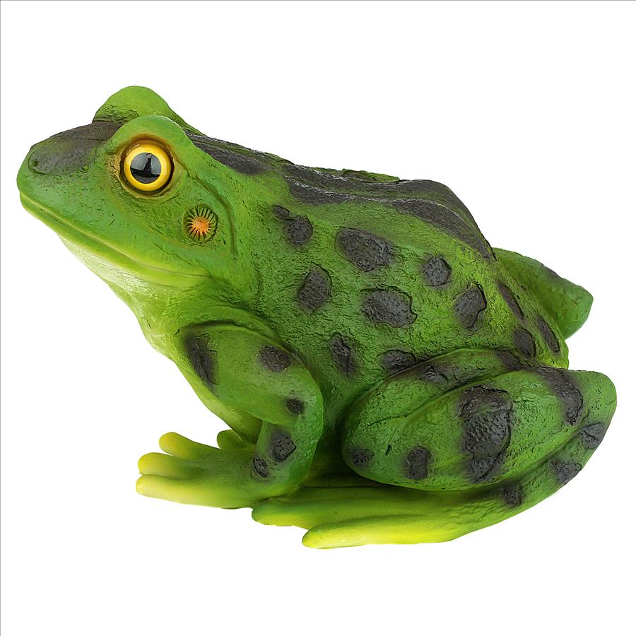 Ribbit the Frog, Garden Toad Statue