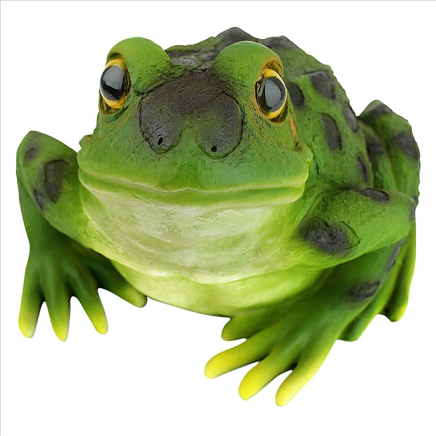 Ribbit the Frog, Garden Toad Statue