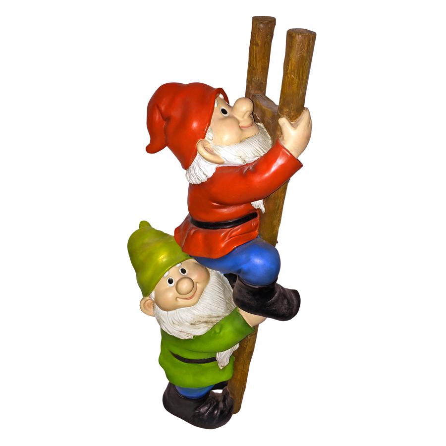 Up the Ladder: Climbing Garden Gnome Statue