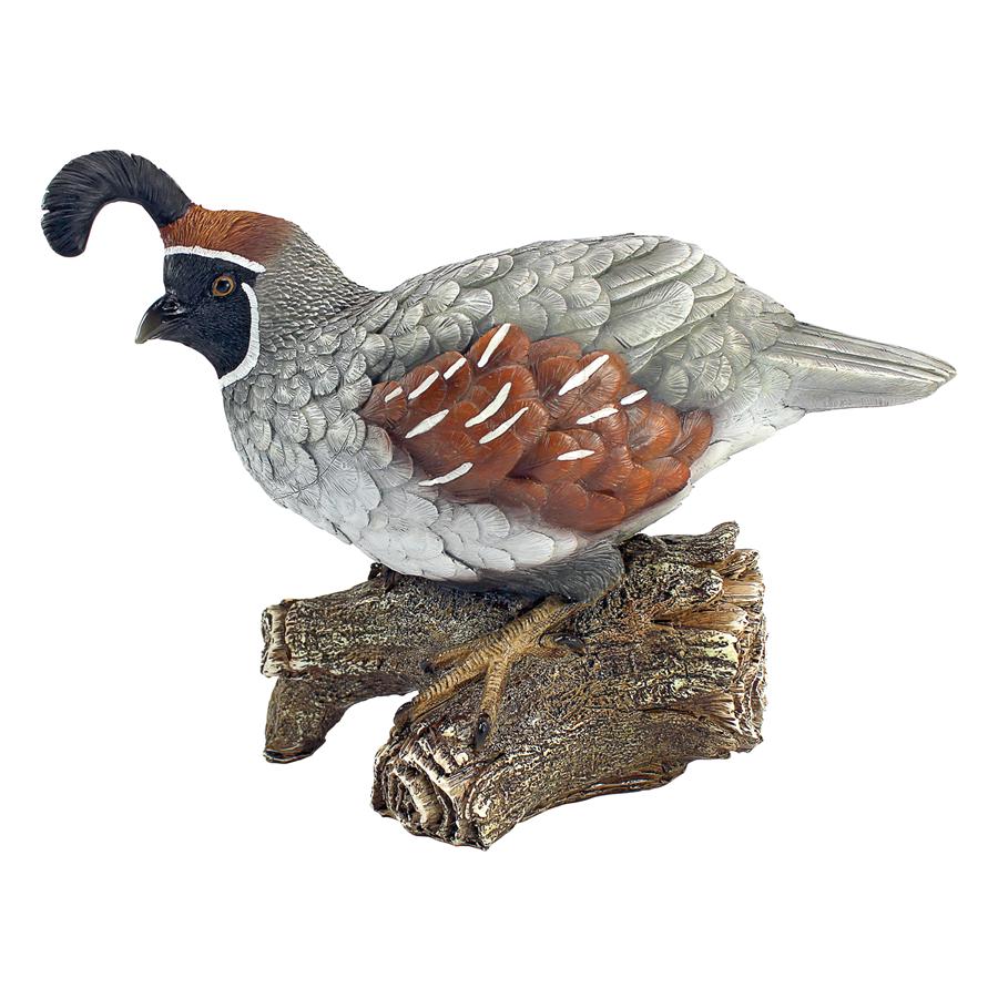 Coco, the Quail Bird Statue