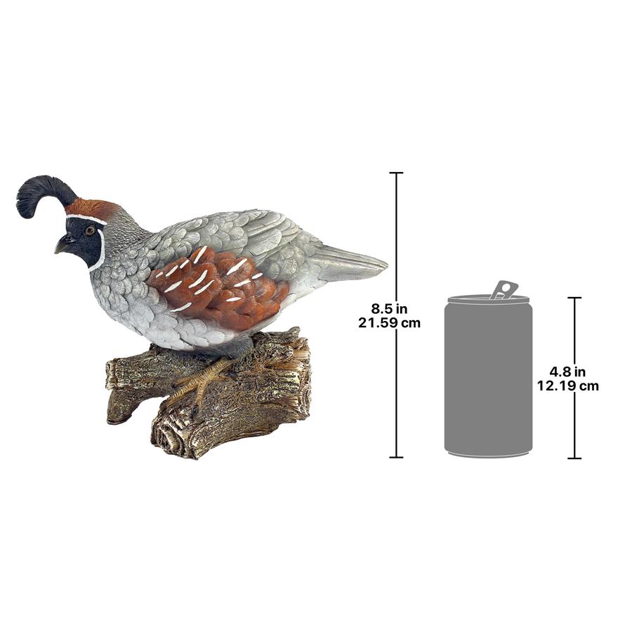 Coco, the Quail Bird Statue