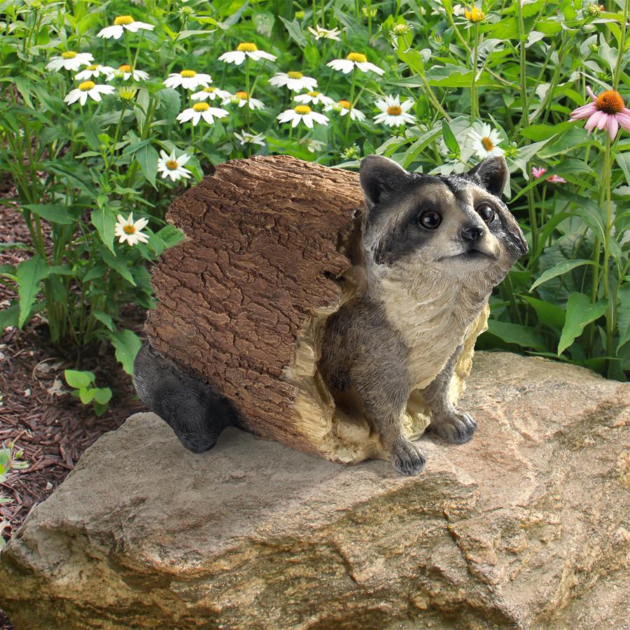 Bandit, the Raccoon Statue