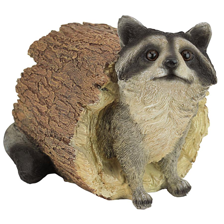 Bandit, the Raccoon Statue