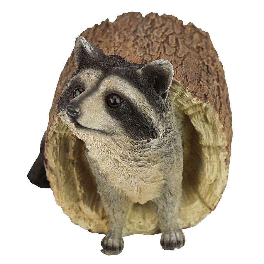 Bandit, the Raccoon Statue